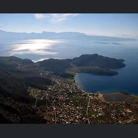 Saltsea Boutique Villa